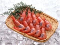 鮨 竹春 - 旬のお魚２