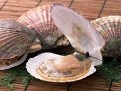 鮨 竹春 - 旬のお魚2